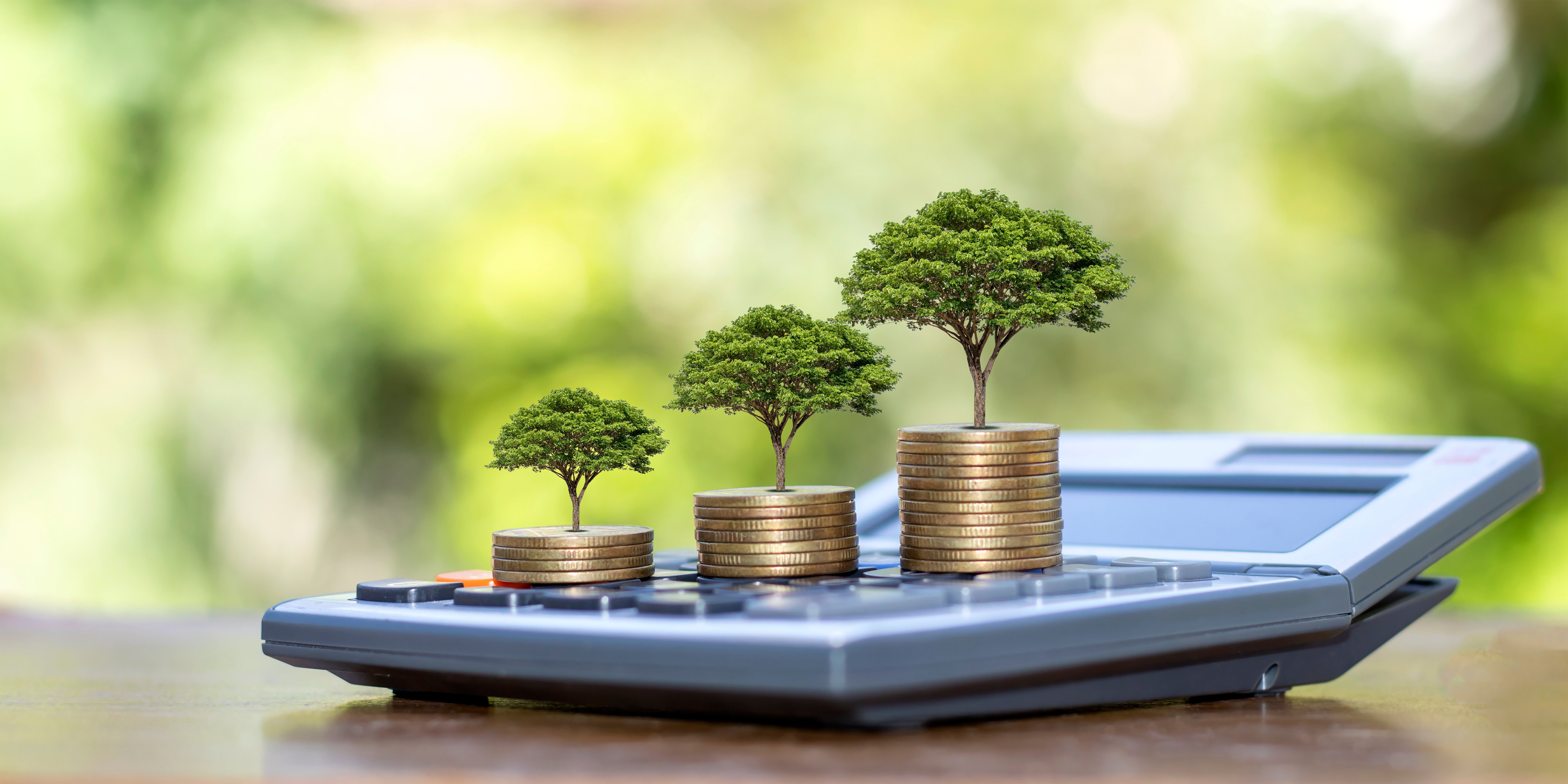 Mini trees growing out of coins atop a calculator..